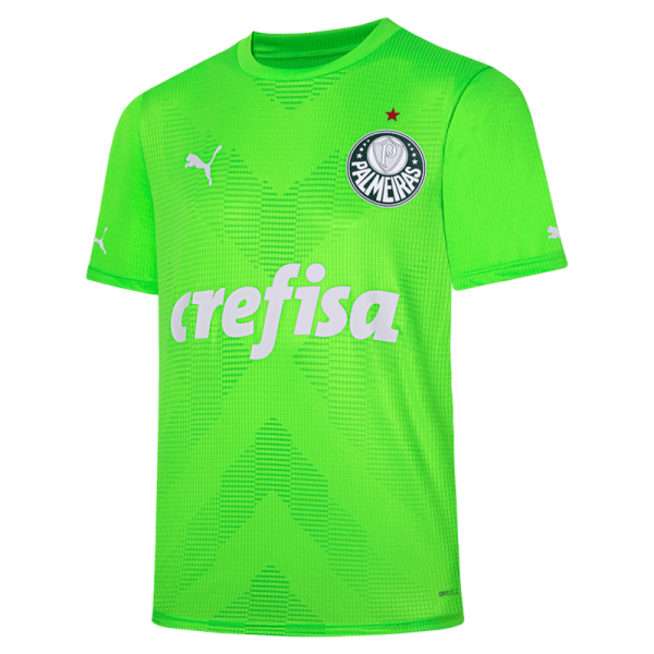 Camisa Palmeiras 2023 Goleiro