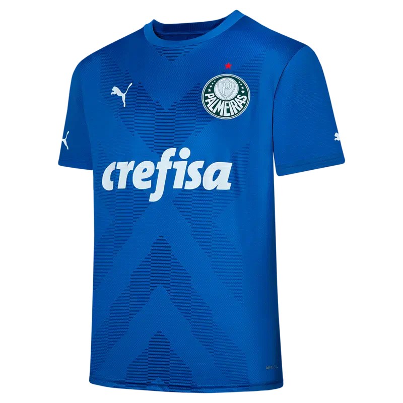 Camisa Palmeiras I 2023 Goleiro