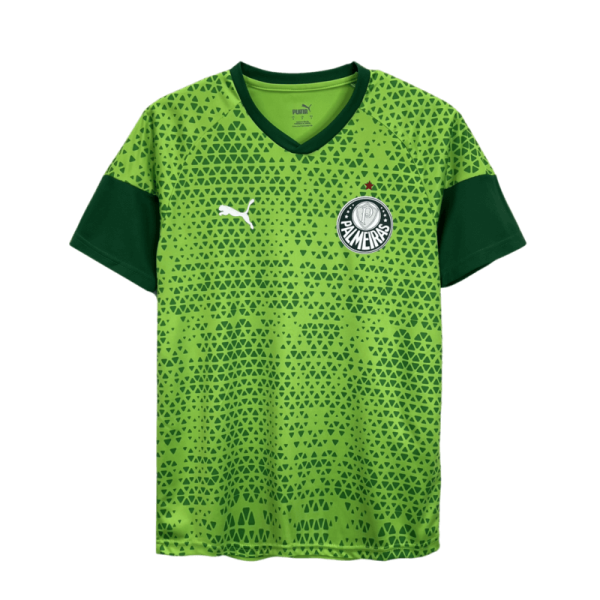 Camisa Treino Palmeiras 2024-25