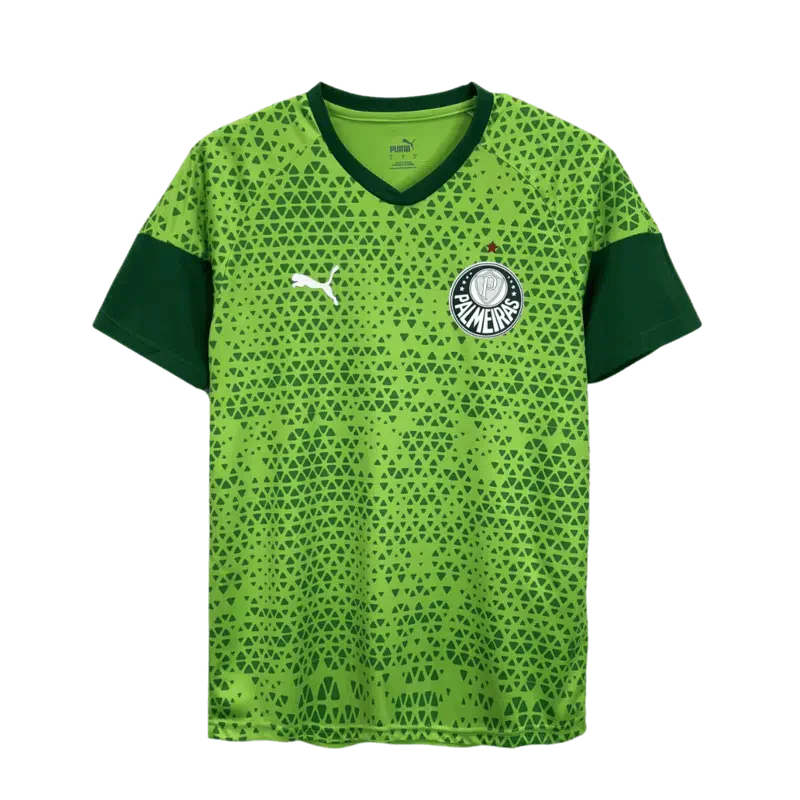 Camisa Treino Palmeiras 2024-25