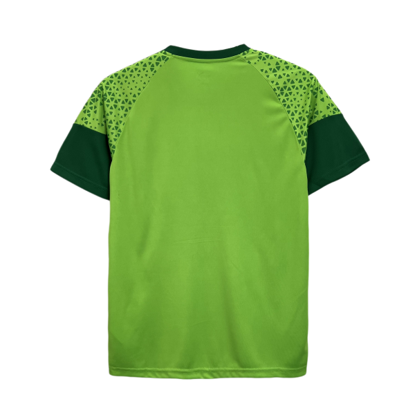 Camisa Treino Palmeiras 2024-25